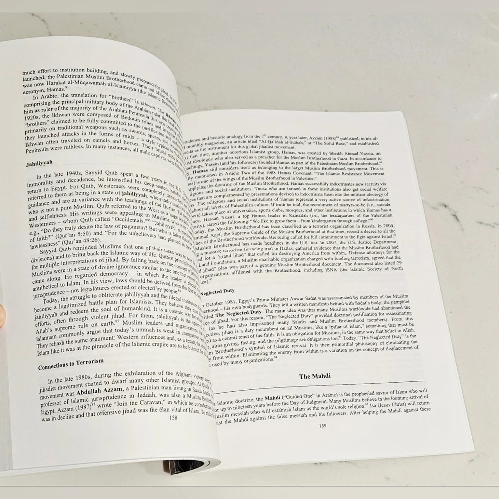 BOGO Symbolism in Terrorism: Motivation, Communication, and Behavior Book